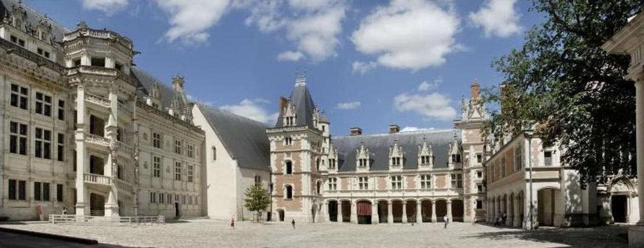 Superbe Appartement - L'Escapade Onzain Eksteriør bilde